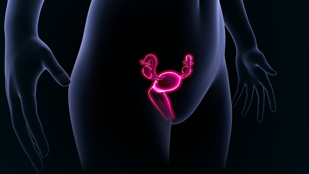 Female Reproduction 101
