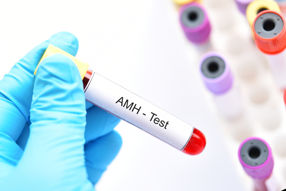 AMH Test & Day 3 Hormones: Know Your Fertility Numbers