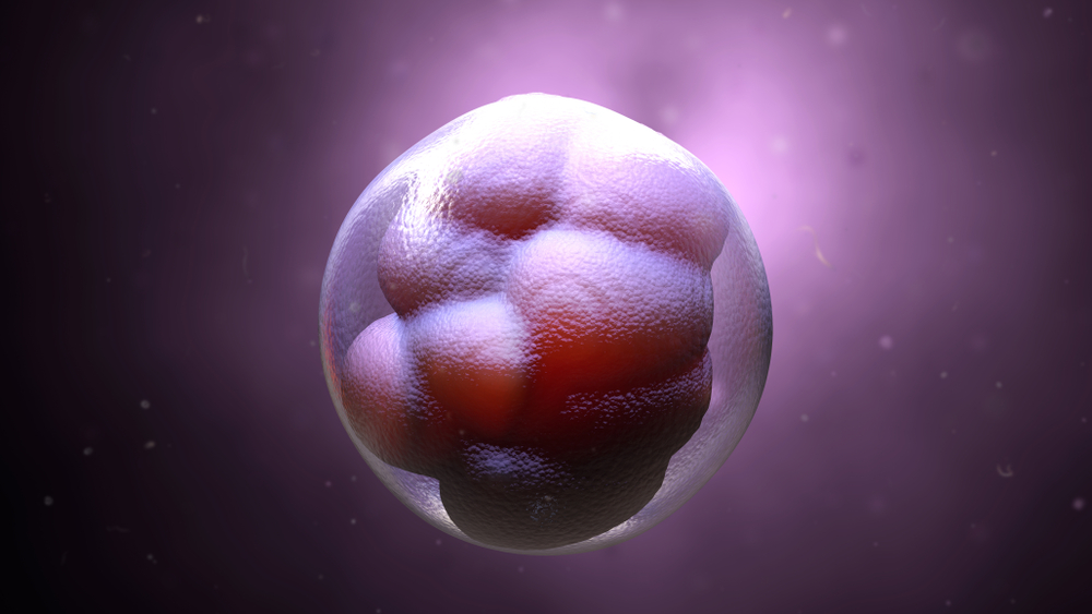 Why is Single Embryo Transfer Used?