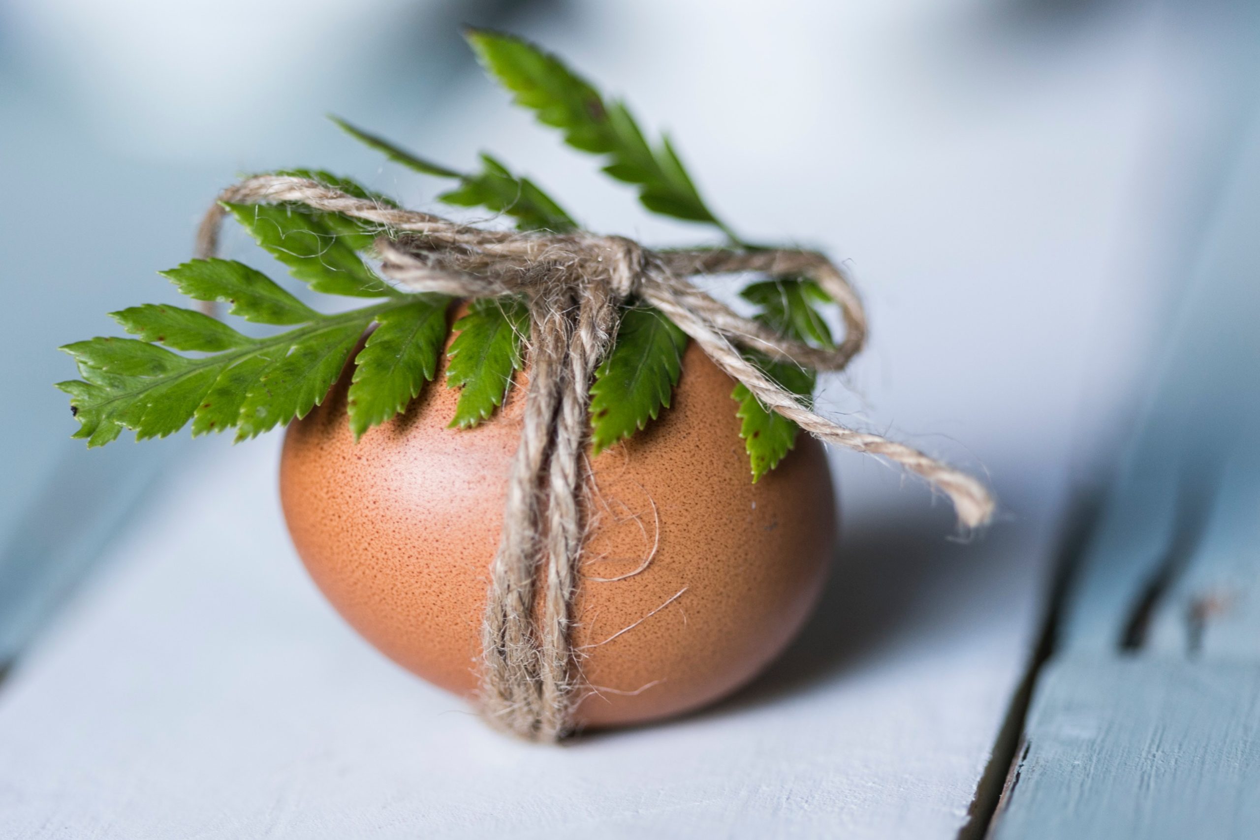 Creating a Family Podcast: Fertility Preservation and Egg Freezing