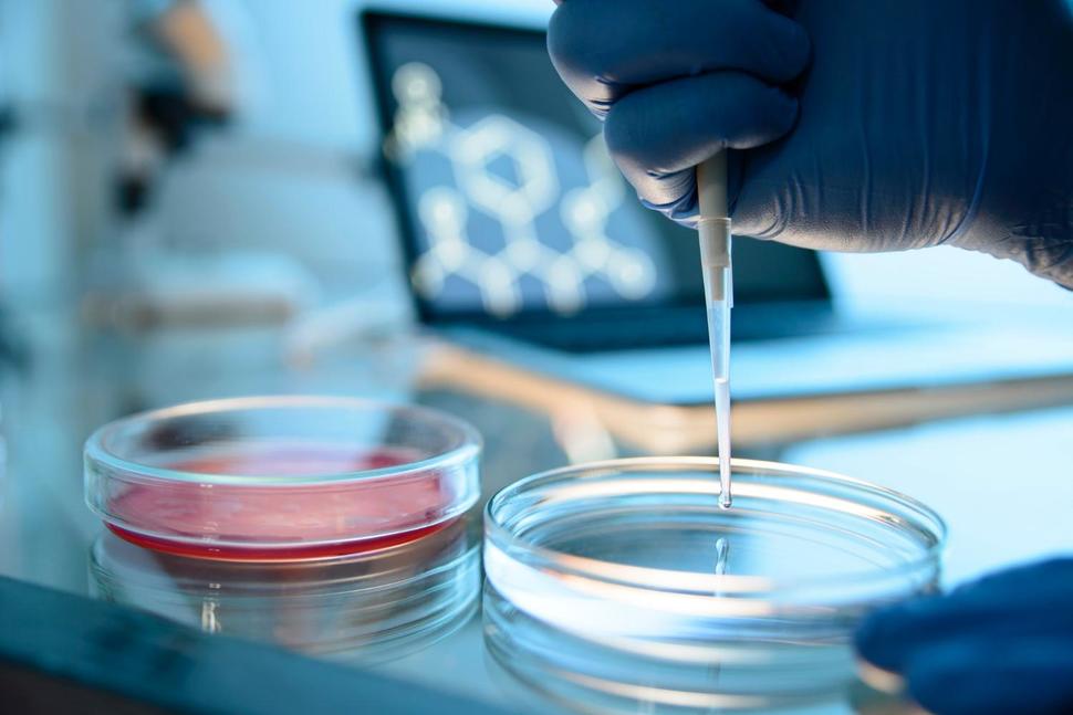 What’s the Likelihood That CRISPR Will Cure Cancer?